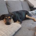 Ersteller:in Kerstin Profilbild