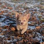 Ersteller:in Lea Profilbild