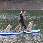 Ersteller:in Joshua Profilbild