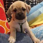 Ersteller:in Manu Holgi Profilbild