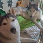 Ersteller:in Alexandra Profilbild