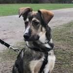 Ersteller:in Jana Profilbild