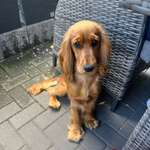 Ersteller:in Marie-Christin Profilbild