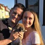 Ersteller:in Steven Profilbild