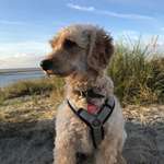 Ersteller:in Renate Profilbild