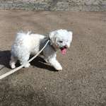 Ersteller:in Cedric Profilbild