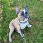 Ersteller:in Nane Profilbild