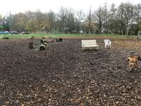 Hundeauslaufgebiet-Beller Park-Bild