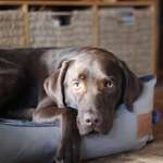 Ersteller:in Luca Profilbild