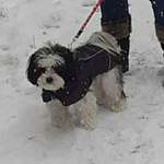 Ersteller:in Heha Profilbild