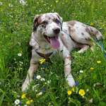 Ersteller:in Susi Profilbild