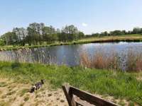 Hundeauslaufgebiet-Stich-Kanal Büchen-Bild