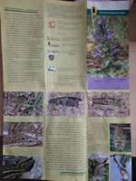 Hundeauslaufgebiet-Nüssauer Heide. Büchen-Bild