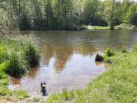 Hundeauslaufgebiet-Stich-Kanal Büchen-Bild
