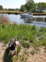 Hundeauslaufgebiet-Stich-Kanal Büchen-Bild