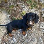 Ersteller:in Nadine Profilbild