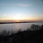 Hundeauslaufgebiet-Wedel-Bild