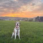 Ersteller:in Celine Profilbild