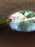 Hundeauslaufgebiet-Eselsbachtal-Bild