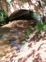 Hundeauslaufgebiet-Eselsbachtal-Bild