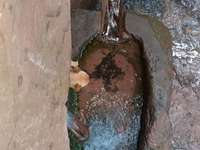 Hundeauslaufgebiet-Eselsbachtal-Bild