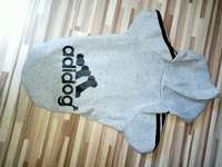 Hundemantel zu verkaufen-Beitrag-Bild