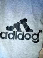 Hundemantel zu verkaufen-Beitrag-Bild