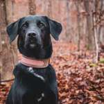 Ersteller:in Sarah Profilbild