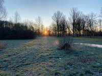 Hundeauslaufgebiet-Helenenpark-Bild