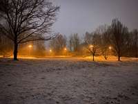 Hundeauslaufgebiet-Helenenpark-Bild