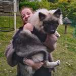 Ersteller:in Ayla Profilbild