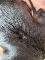 Hautausschlag?-Beitrag-Bild