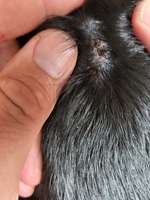 Hautausschlag?-Beitrag-Bild