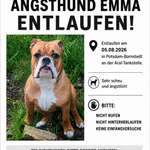 Suchmeldung-Emma-Bild