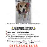 Suchmeldung-Wilma-Bild