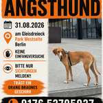 Suchmeldung-Angsthund Nela-Bild