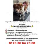 Suchmeldung-Winnie Angsthund-Bild