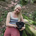 Ersteller:in Stefanie Profilbild