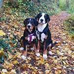 Ersteller:in Jacqueline Profilbild