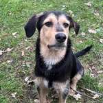 Ersteller:in Paula Profilbild