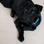 Ersteller:in Eva Profilbild