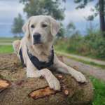 Ersteller:in Nina Profilbild