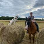 Ersteller:in Lena Profilbild