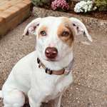 Ersteller:in Franziska Profilbild