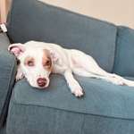 Ersteller:in Franziska Profilbild