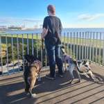 Ersteller:in Lena Profilbild