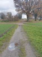 Hundeauslaufgebiet-Egelsberg Mühle, Traar-Bild