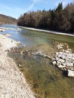 Hundeauslaufgebiet-Grünwalder Forst - Georgenstein-Bild