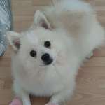 Ersteller:in Jamshi Profilbild