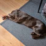 Ersteller:in Anna Profilbild